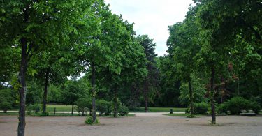 tiergarten