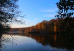 Foto's van herfst in Berlijn