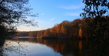 Foto's van herfst in Berlijn