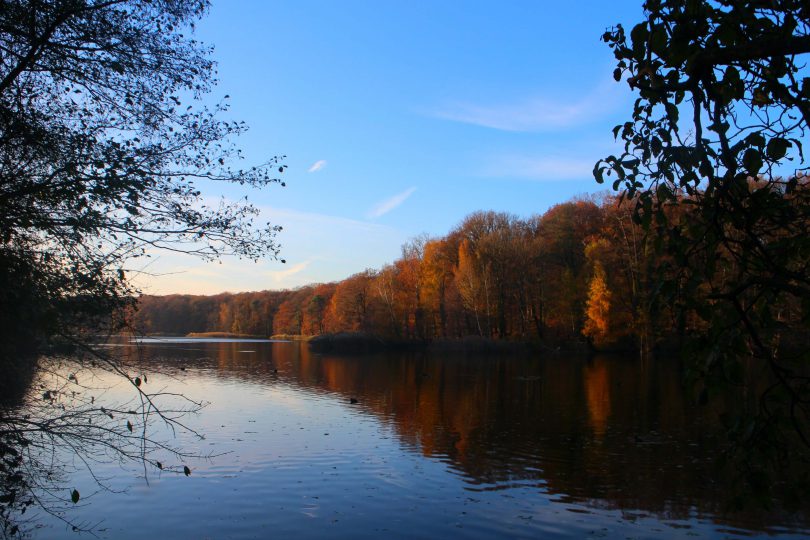 Foto's van herfst in Berlijn