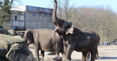 Tierpark Berlin