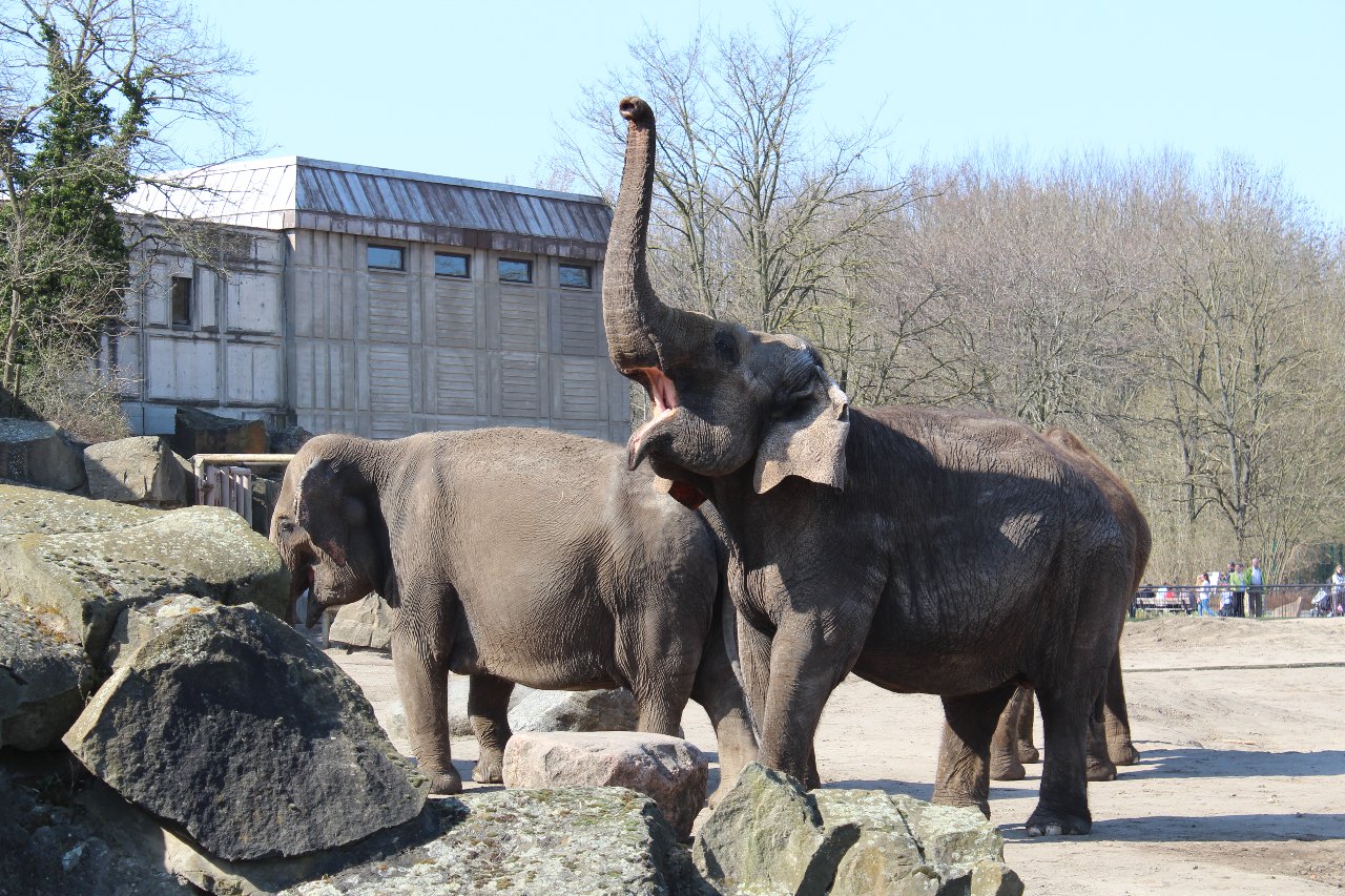 Tierpark Berlin – Dierentuin Oost-Berlijn